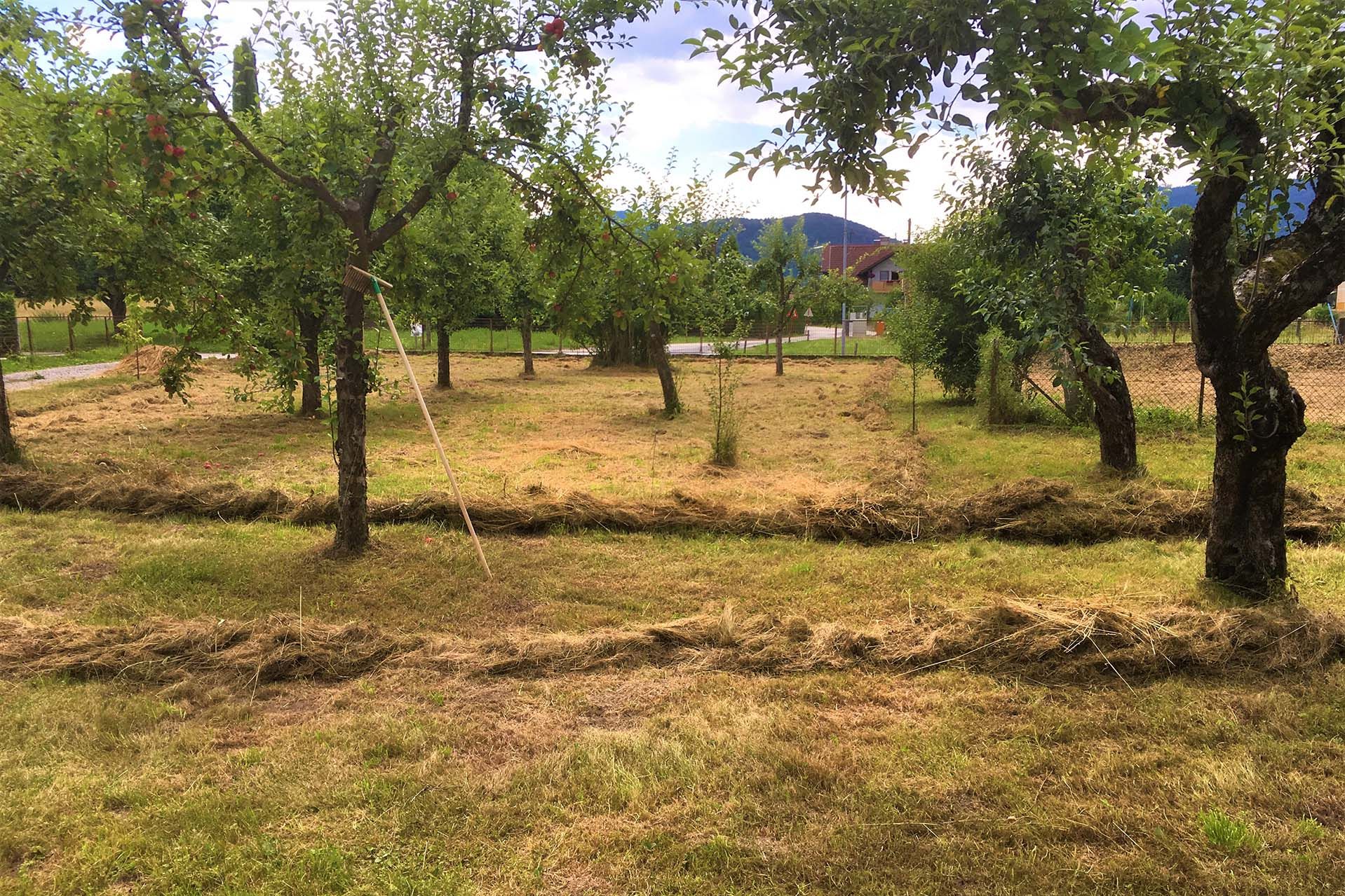 Obstwiese als ökologisch wertvoller Splitter in einem von Strukturwandel geprägtem Stadtteil